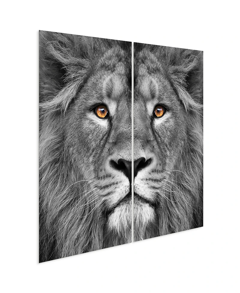 Empire Art Direct King Of The Jungle Ab Frameless Free Floating Tempered Glass Panel Graphic Wall Art, 72" x 36" x 0.2" Each