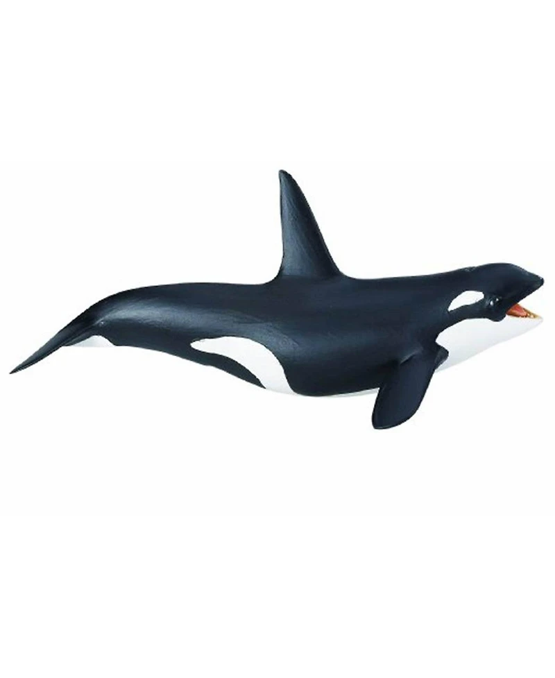 Safari Ltd Killer Whale Sea Life