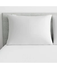 AllerEase Maximum Allergy Protection Pillow Protector, Standard/Queen
