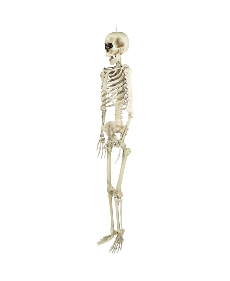 Life Size Skeleton Halloween Decoration, 5'
