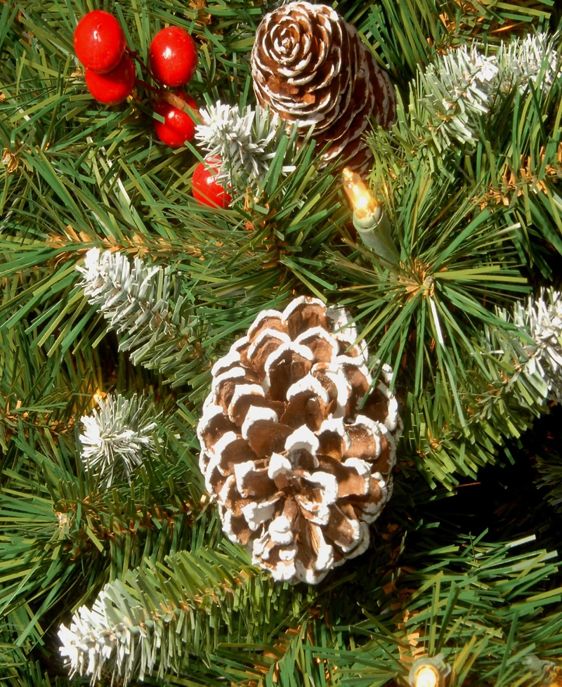 National Tree Company Frosted Berry Assortment- 2x 4' Entrance Trees with Clear Lights + 24" Wreath with Warm White Battery Operated Lights w/Timer +