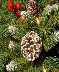 National Tree Company Frosted Berry Assortment- 2x 4' Entrance Trees with Clear Lights + 24" Wreath with Warm White Battery Operated Lights w/Timer +