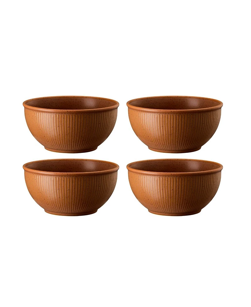 Rosenthal Clay Set of 4 Cereal Bowls, Service for