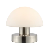 Zoe Bohemian Farmhouse Iron Rechargeable Integrated Led Table Lamp
