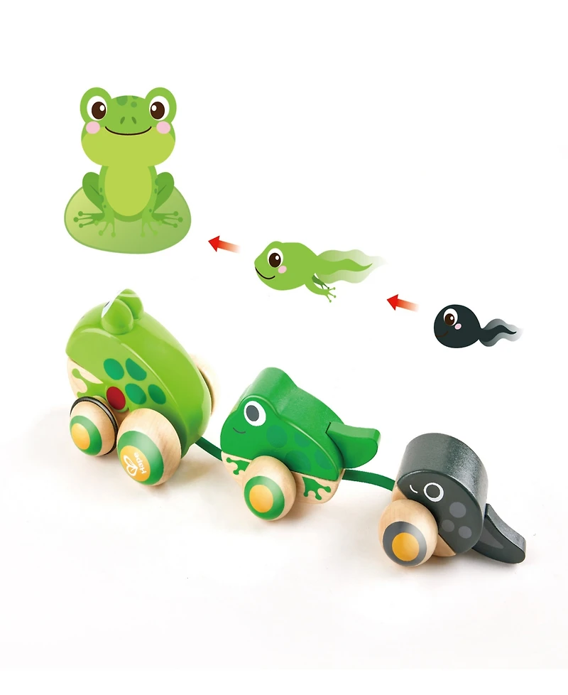Hape Pull-Along Frog Family Toddler Toy