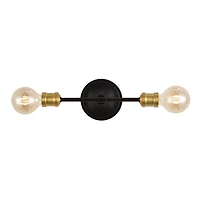 Jaxon Industrial Farmhouse Iron Led Vanity Light