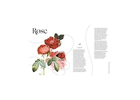 Flowers and Their Meanings- The Secret Language and History of Over 600 Blooms (A Flower Dictionary) by Karen Azoulay