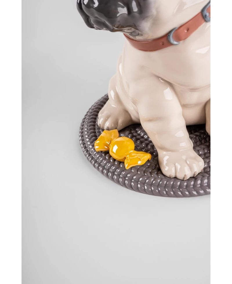 Lladro Puppy Pug Figurine
