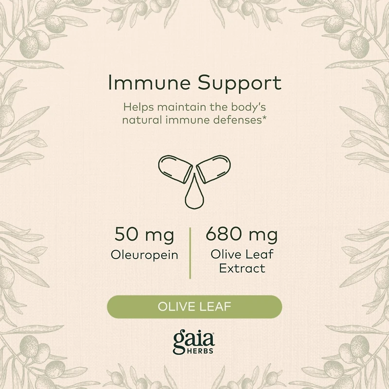 Gaia Herbs Olive Leaf - Traditional Immune Health Support - Immune System Supplement with Olive Leaf Extract and Oleuropein