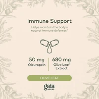 Gaia Herbs Olive Leaf - Traditional Immune Health Support - Immune System Supplement with Olive Leaf Extract and Oleuropein