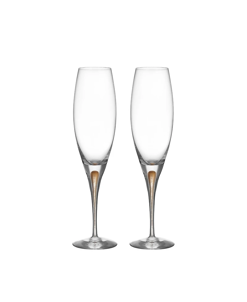 Orrefors Intermezzo Gold Champagne Glass, 2-pack
