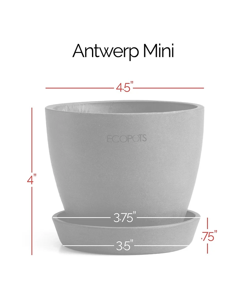 Ecopots Antwerp Indoor and Outdoor Planter with Saucer, 4.5in