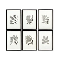 Framed Gray-Tone Fern Prints Set of 6