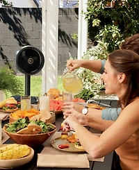 Shark FlexBreeze Fan FA222