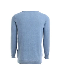 Bellemere New York Men's Solid V-Neck Merino Sweater