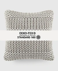 ienjoy Home Cozy Chunky Knit Decorative Pillow, 20" x 20"
