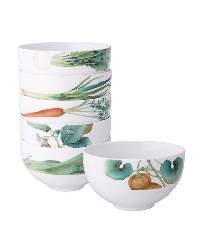 Noritake Kyoka Shunsai Bowls 21 oz Set/6