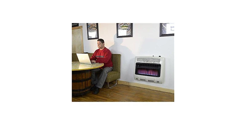 Mr. Heater 30,000 Btu Vent Free Blue Flame Propane Heater (1000 sq. ft. Range)