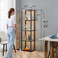 Fenlo Fantasy Plus - Glass Display Shelf Floor Lamp with Fully Dimmable Led, Remote Control