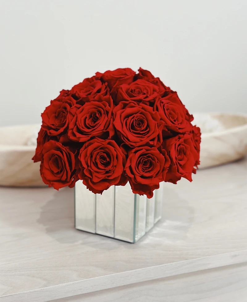 Rose Box Nyc Half Ball of Red Flame Long Lasting Preserved Real Roses in Mini Modern Vase, 25-27 Roses