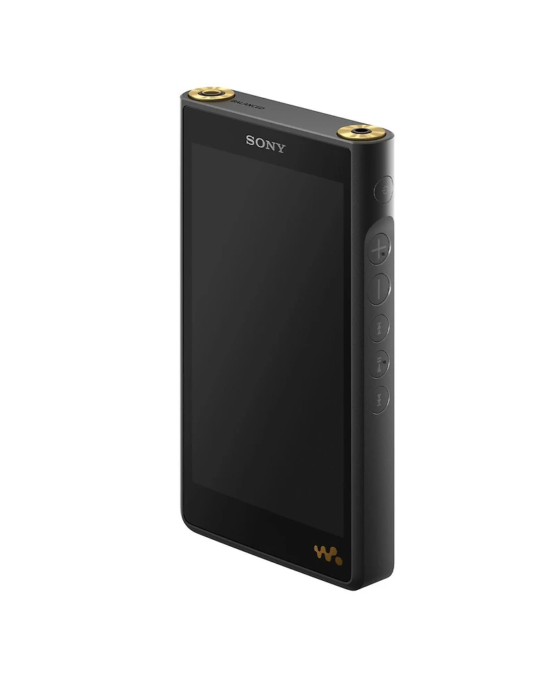 Sony Nw-WM1AM2 128GB Walkman Digital Music Player