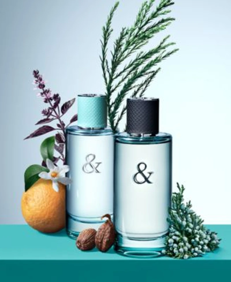 Tiffany Co. Womens Tiffany Love Collection