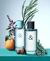 Tiffany Co. Womens Tiffany Love Collection