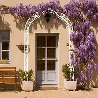 Customizable Metal Garden Arch for Weddings and Events