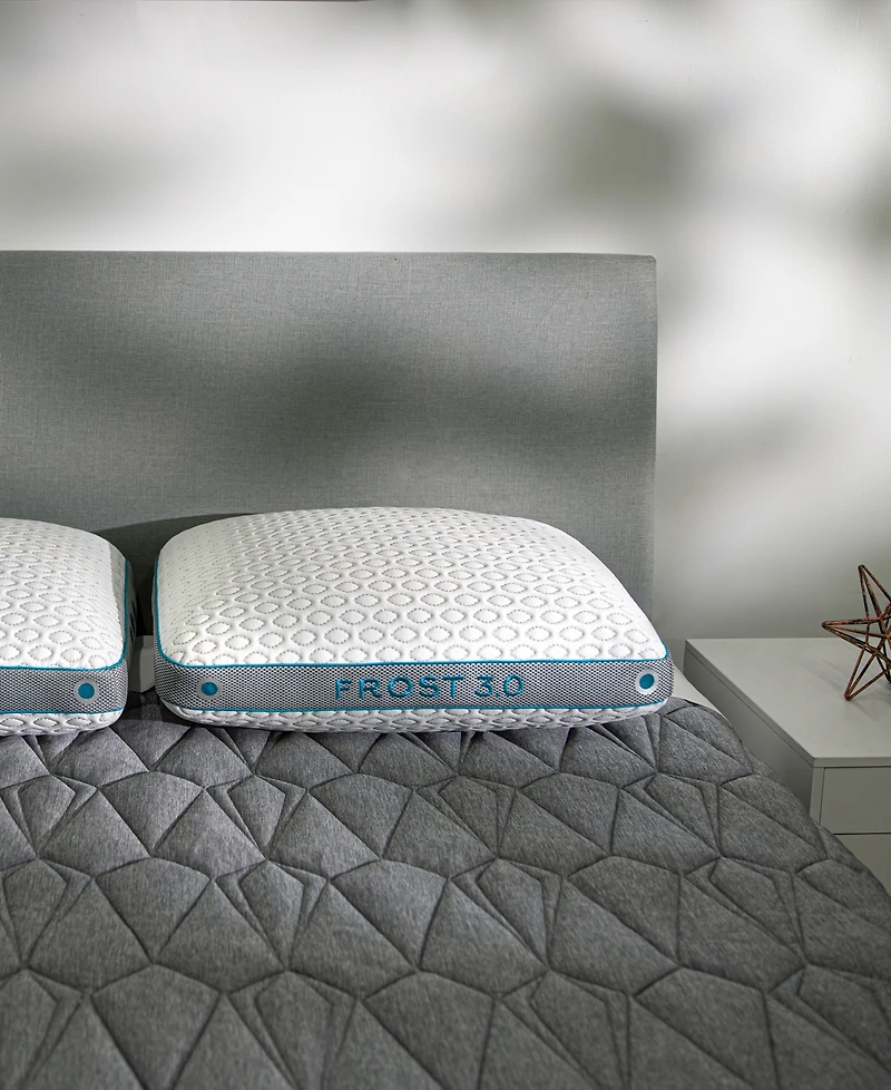 Bedgear Frost Performance 3.0 Pillow, Standard/Queen