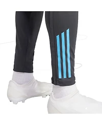 Adidas Men's Gray Argentina National Team 2024 AeroReady Training Pants