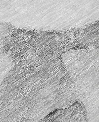 Addison Chantille Machine Washable ACN517 3'x5' Area Rug