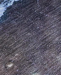 Addison Chantille Machine Washable ACN525 8'x10' Area Rug