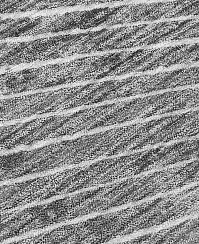 Addison Chantille Machine Washable ACN542 9'x12' Area Rug