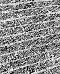 Addison Chantille Machine Washable ACN542 9'x12' Area Rug