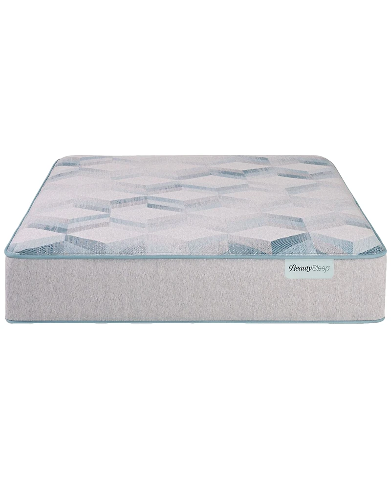 Beautyrest BeautySleep Dream Weaver 13.75" Plush Mattress
