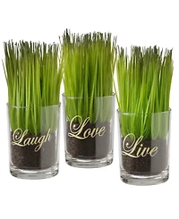 National Tree Company 3-Piece Sprout-Filled Glass Assortment