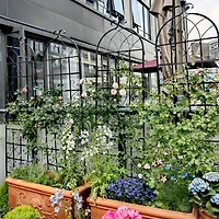 Streamdale Metal Garden Trellis 71" x 19.7" for Climbing Plants