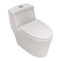 Streamdale Furniture Ceramic One Piece Toilet, Dual Flush With Soft Closing Seat 0000