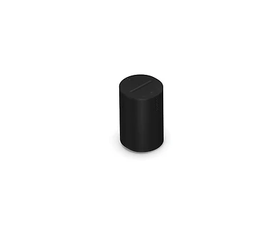 Sonos Era 100 Wireless, Smart Speaker