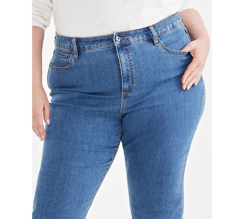 Style & Co Plus High-Rise Straight-Leg Jeans
