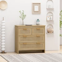 Streamdale 4-Drawer Rattan Cabinet for Home