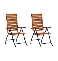 vidaXL 2 pcs Reclining Patio Chairs Solid Wood Acacia