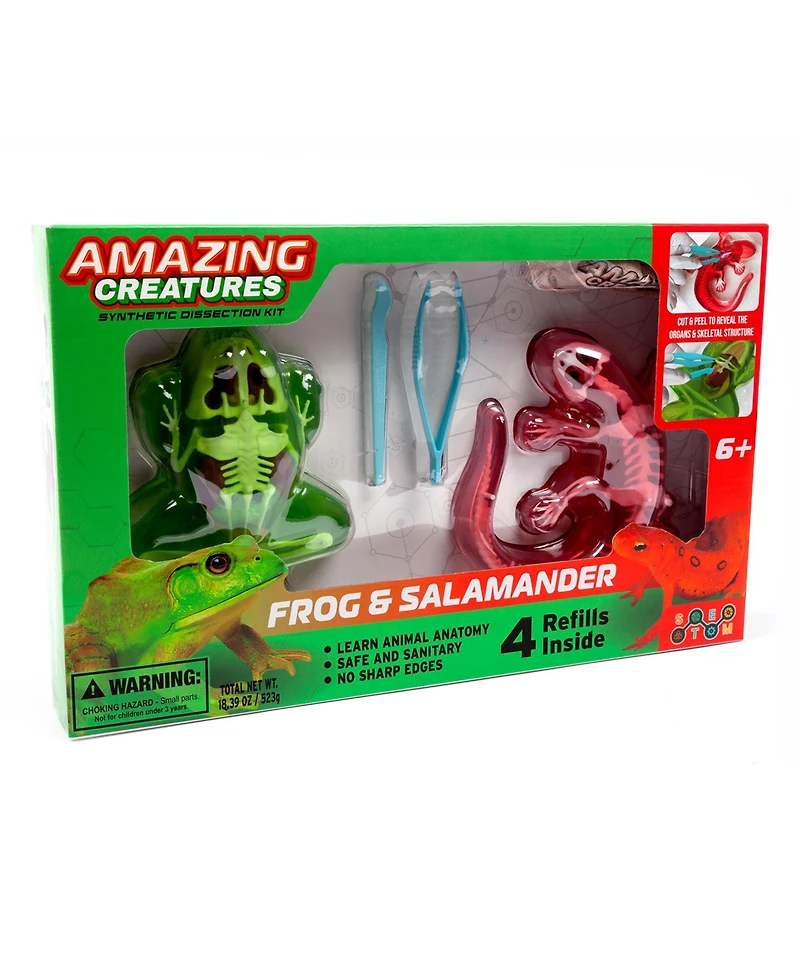 World Tech Toys Amazing Creatures Synthetic Dissection Kit - Salamander Frog Double Pack