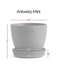 Ecopots Antwerp Indoor and Outdoor Planter with Saucer, 4.5in
