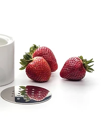Rsvp International Endurance Stainless Steel 3.25" x 2.5" Fruit Fly Trap
