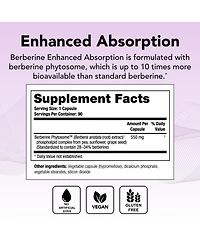 Theralogix Berberine Enhanced Absorption - 90-Day Supply - Made with Berberine Phytosome to Help Support Healthy Metabolism & Hormone Balance