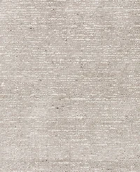 Dalyn Arcata AC1 2'3"x7'6" Runner Area Rug