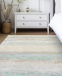 Dalyn Trevi Washable TV8 9'x12' Area Rug