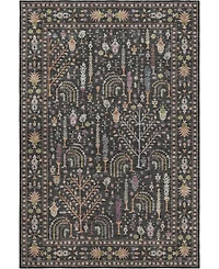 Dalyn Hatay Washable HY5 9'x12' Area Rug
