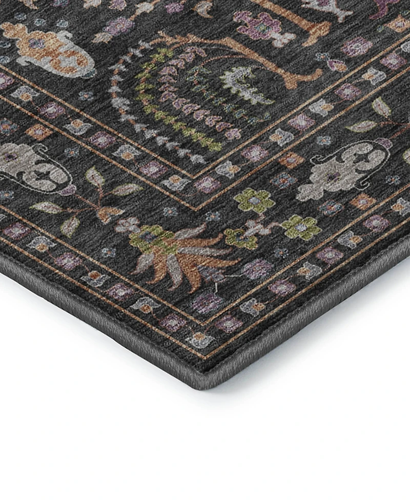 Dalyn Hatay Washable HY5 9'x12' Area Rug